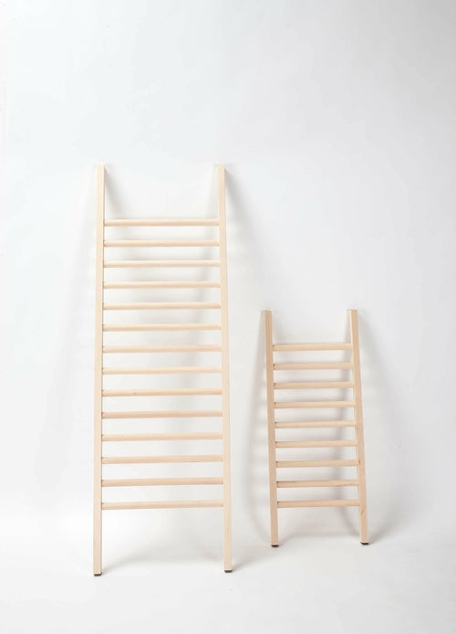 Step Up Shoe Rack